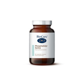 Phosphatidyl Serine