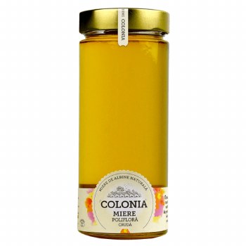 Org Polyfloral Raw Honey 800g