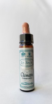 Clematis Bach Flower Remedy