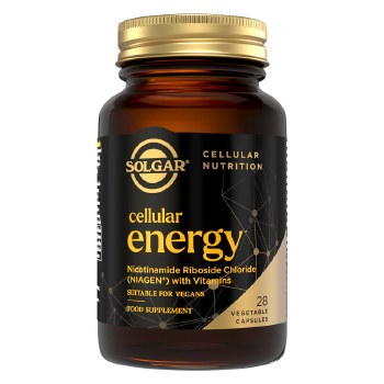 Cellular Energy