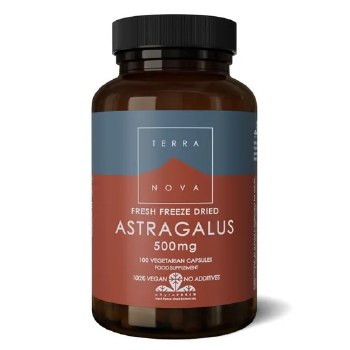 Astragalus 500mg