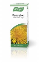 Dandelion