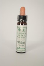 Walnut Bach Flower Remedy