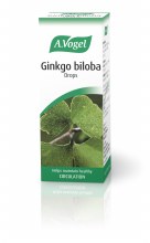 Ginkgo Biloba