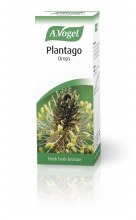 Plantago lanceolata