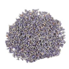 Lavender Flowers