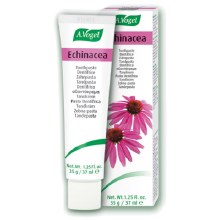 Echinacea Toothpaste