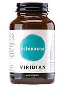 Echinacea