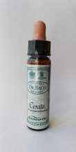 Cerato bach Flower Remedy