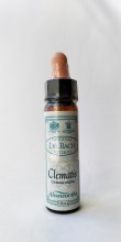 Clematis Bach Flower Remedy