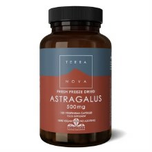 Astragalus 500mg