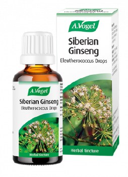 Siberian Ginseng (Eleuthero)