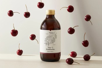 Black Cherry Kombucha
