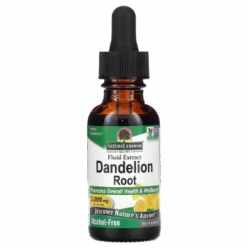 Dandelion Root