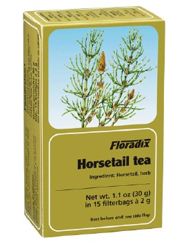 Horsetail Tea