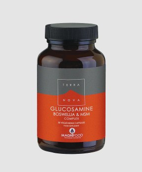 Glucosamine, Boswellia & MSM Complex