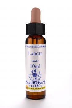Larch