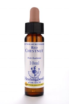 Red Chestnut