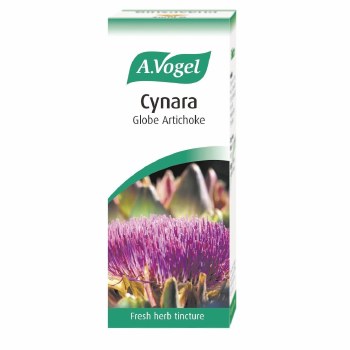 Cynara - Artichoke