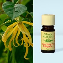 Org Ylang Ylang Oil