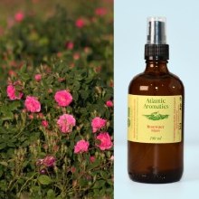 Rose Water Organic