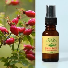 Rosehip Seed Oil