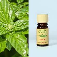 Org Basil Oil