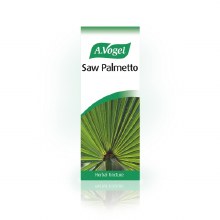 Saw Palmetto