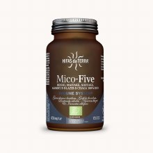 Mico-Five (Chaga, Reishi, Maitake, Shiitake, Sun Mushroom) Capsules
