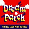 Ommegang Dream Patch 4pk Can