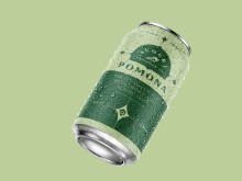 Augury Pomona Fruity Green Tea