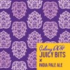 Weldwerks Juicy Bits 4pk