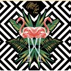 Alvarado Street Mai Tai Ipa