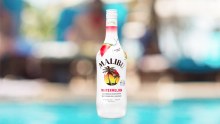 Malibu Watermelon