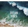 Equilibrium Ocean Vibes