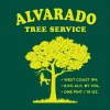 Alvarado Tree Service Ipa