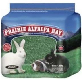 Prairie Alfalfa Hay 48oz