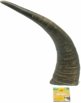Advance Pet Water Buffalo Jumbo Horn 17 inch