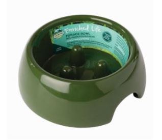 Oxbow Enriched Life Forage Bowl for Small Animals, Large