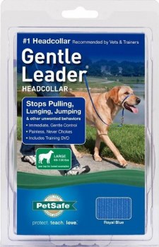 Petsafe Gentle Leader Dog Head Collar, Blue, Large
