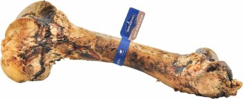 Barkworthies Femur Bone. For Medium to Large Dogs