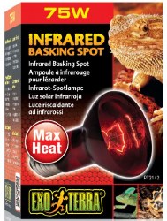 Exo Terra Infrared Basking Spot 75 Watt