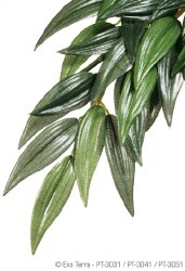 Exo Terra Silk Ruscus Plant, Small