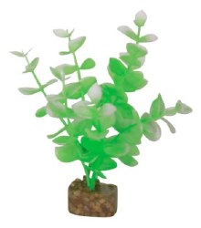 GloFish Green/White Plant Sm