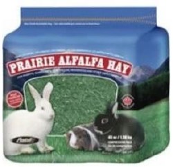 Prairie Alfalfa Hay 48oz