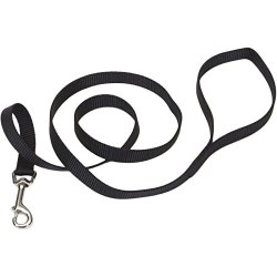 5/8 inch Training Lead Black