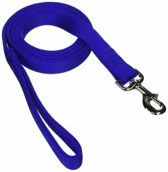 6ft Training Lead Blue