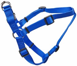Adjustable Harness 26-38 inch Blue