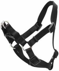 Harness 20-30 inch Black