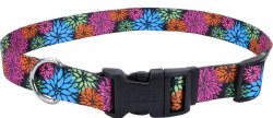 1 inch x 18-26 inch Adjustable Collar Wild Flower